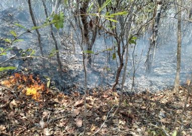 Atiende Coesfo incendio forestal en San Pedro Amuzgos