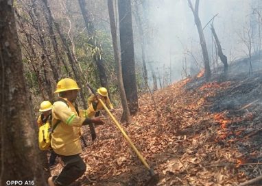 Controla y liquida Coesfo incendio forestal en la Costa