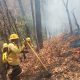 Controla y liquida Coesfo incendio forestal en la Costa